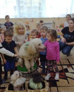 А у нас в гостях — Цирк!